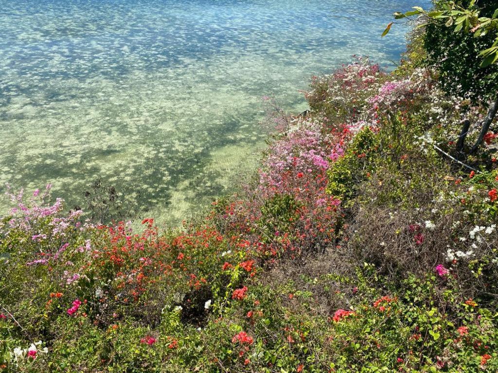 Tahanan Resort San Juan  Bagian luar foto